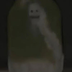 Meet your Posher, Bailey